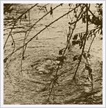 一宮川（千葉県）の水中から湧き出る天然ガス（昭和25年撮影）
